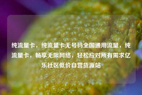 纯流量卡，纯流量卡无号码全国通用流量，纯流量卡，畅享无限网络	，轻松应对所有需求亿乐社区低价自营货源站  第1张
