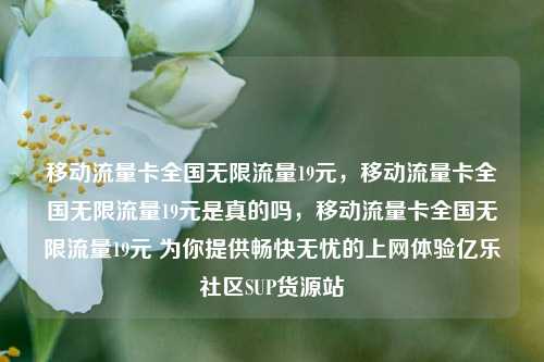 移动流量卡全国无限流量19元，移动流量卡全国无限流量19元是真的吗，移动流量卡全国无限流量19元 为你提供畅快无忧的上网体验亿乐社区SUP货源站  第1张
