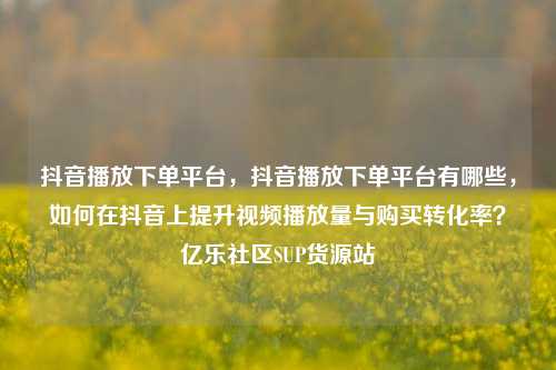 抖音播放下单平台	，抖音播放下单平台有哪些，如何在抖音上提升视频播放量与购买转化率？亿乐社区SUP货源站  第1张