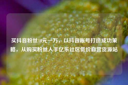 买抖音粉丝10元一万，以抖音账号打造成功策略，从购买粉丝入手亿乐社区低价自营货源站  第1张