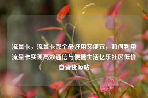 流量卡	，流量卡哪个最好用又便宜，如何利用流量卡实现高效通信与便捷生活亿乐社区低价自营货源站  第1张