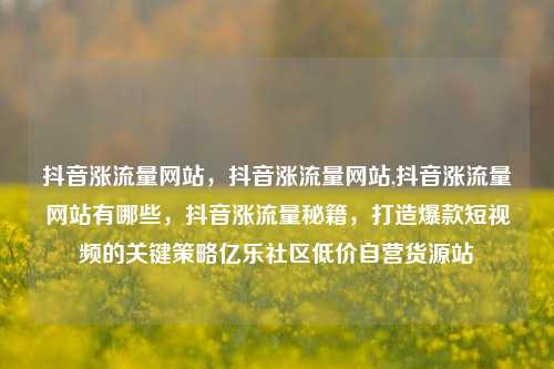 抖音涨流量网站	，抖音涨流量网站,抖音涨流量网站有哪些，抖音涨流量秘籍，打造爆款短视频的关键策略亿乐社区低价自营货源站  第1张