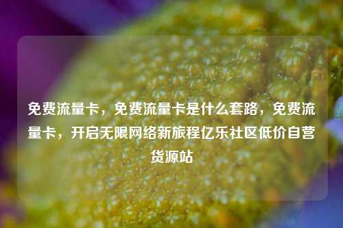 免费流量卡	，免费流量卡是什么套路，免费流量卡，开启无限网络新旅程亿乐社区低价自营货源站  第1张