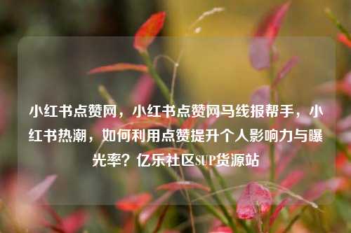 小红书点赞网	，小红书点赞网马线报帮手，小红书热潮，如何利用点赞提升个人影响力与曝光率？亿乐社区SUP货源站  第1张