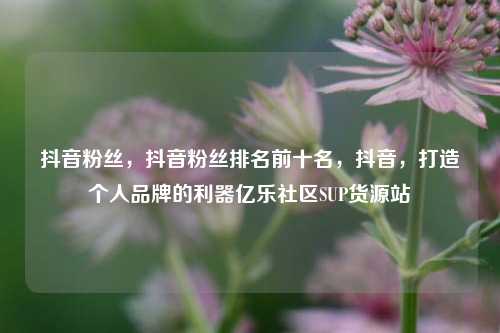 抖音粉丝	，抖音粉丝排名前十名，抖音，打造个人品牌的利器亿乐社区SUP货源站  第1张
