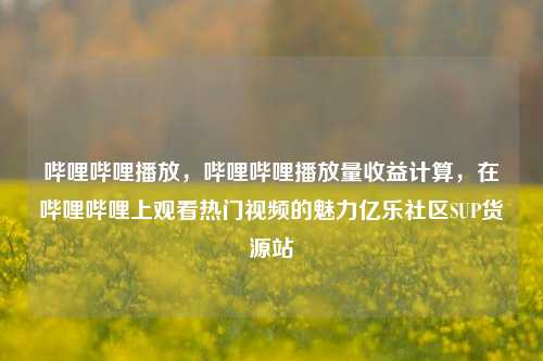 哔哩哔哩播放，哔哩哔哩播放量收益计算，在哔哩哔哩上观看热门视频的魅力亿乐社区SUP货源站  第1张