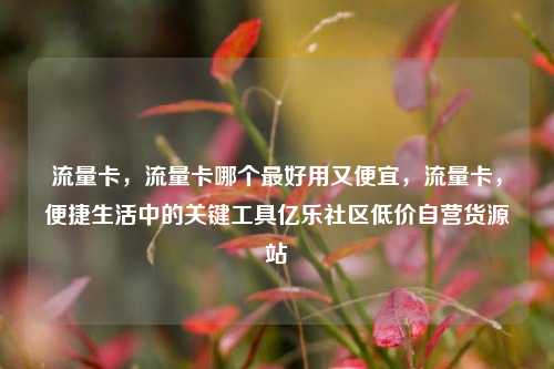 流量卡，流量卡哪个最好用又便宜，流量卡	，便捷生活中的关键工具亿乐社区低价自营货源站  第1张