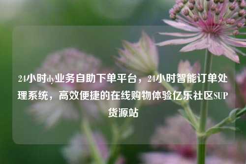 24小时dy业务自助下单平台	，24小时智能订单处理系统，高效便捷的在线购物体验亿乐社区SUP货源站  第1张